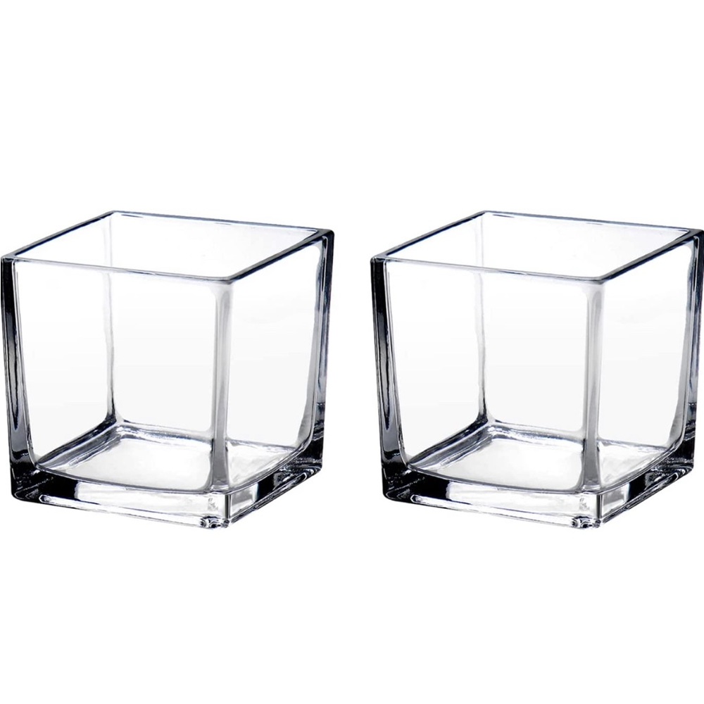 Glass Vases Set of 2 NWT